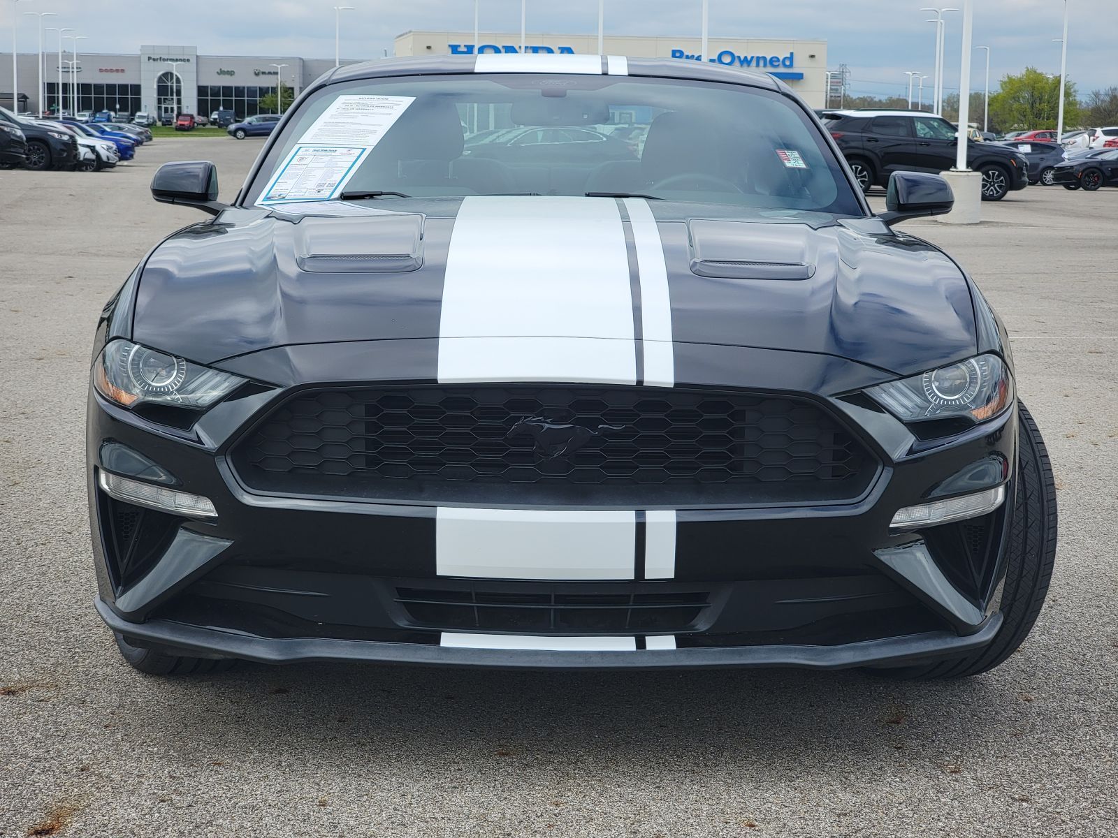 Used, 2019 Ford Mustang EcoBoost, Black, P0537-10