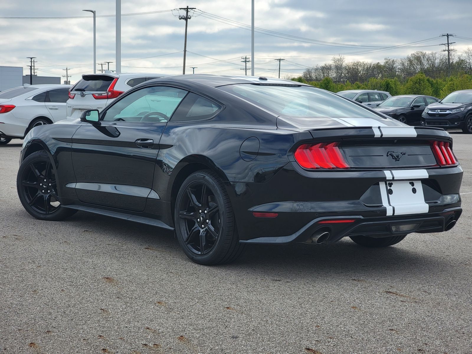Used, 2019 Ford Mustang EcoBoost, Black, P0537-12