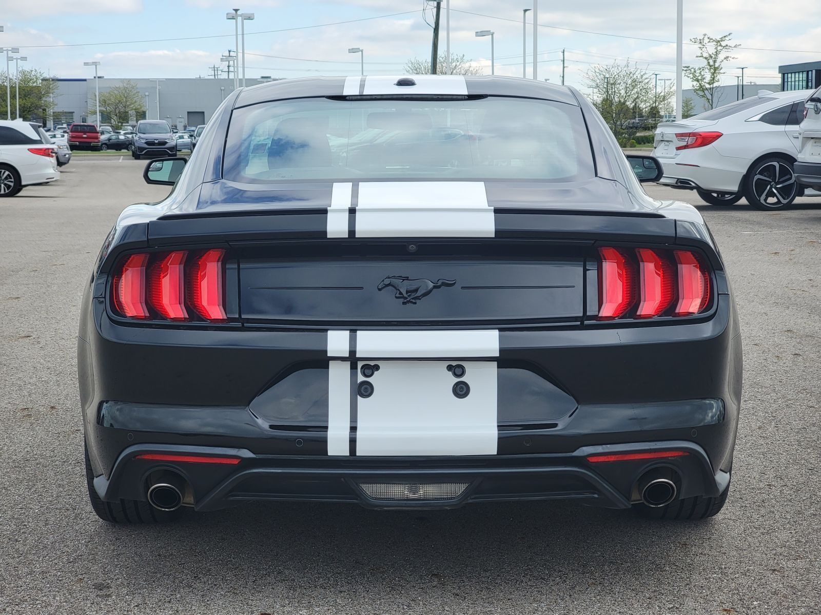 Used, 2019 Ford Mustang EcoBoost, Black, P0537-13